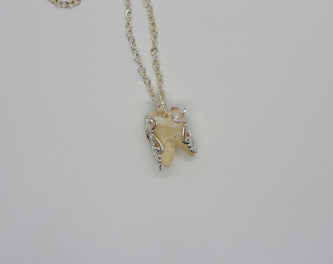 Toothfairy Necklace