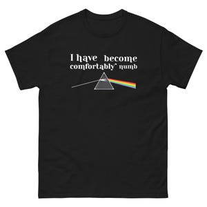 Könnte beinhalten: Schwarzes T-Shirt mit dem Text "I have become comfortably numb" über einer Grafik eines Prismas, das einen Regenbogen bricht. Das T-Shirt hat einen Rundhalsausschnitt.