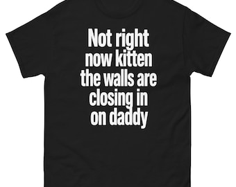 Not Right Now Kitten The Walls Are Talking Shirt Funny Meme Cat Quote Tee Sarcastic Humor
