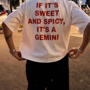 If It’s Sweet and Spicy It’s A Gemini T-Shirt Funny Zodiac Astrology Horoscope Meme