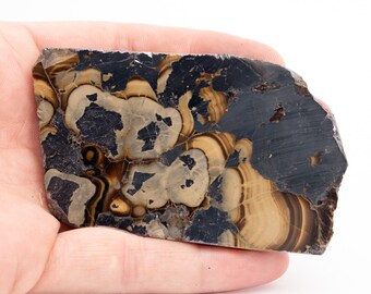May include: A polished stone slab with a unique pattern. The stone features a mix of black, tan, and cream colors, with swirling and mottled patterns. The surface is smooth and the edges are rough, showcasing the natural beauty of the stone.