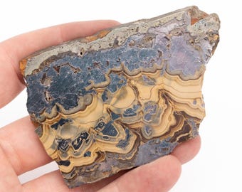 Rare Polished SCHALENBLENDE Sphalerite, Galena, Wurtzite stone 4.48 oz sliced crystal #k1125