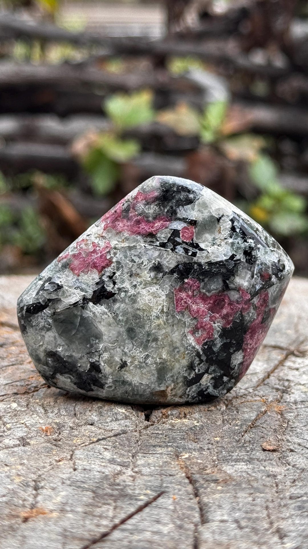 Rare Naujaite With Hackmanite Palm Stone Specimen Greenland ...