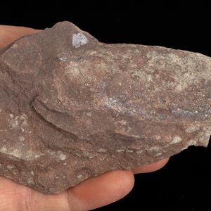 May include: A reddish-brown rock with a layered texture, held in a hand. The rock has lighter mineral deposits. The background is black, accentuating the natural stone's details.