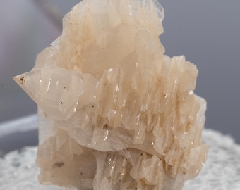 Snowflake CERUSSITE crystal - specimen thumbnail in Box 0.16 oz #t4728