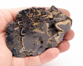 May include: A dark, irregularly shaped stone with a polished, metallic appearance. The stone features a mix of dark gray, black, and tan colors, with intricate patterns and textures. The stone is held in a hand.