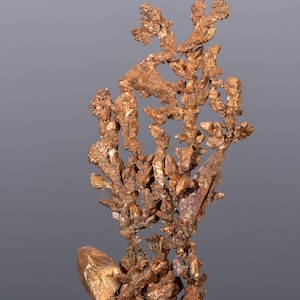 Native COPPER crystal specimen Kazakhstan stone #t8470