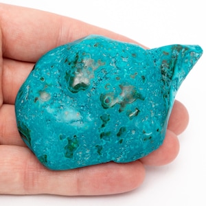Peut inclure: Une pierre de chrysocolle turquoise avec des inclusions vertes foncées et brunes. La gemme polie a une forme arrondie avec un bord pointu. La pierre est tenue dans une main sur fond blanc. Cette pierre naturelle est idéale pour la joaillerie ou la collection.