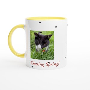 Felix the Cat Frühlingsbecher - 11 Unzen Keramikkaffeebecher mit farbigem Rand Bild 9