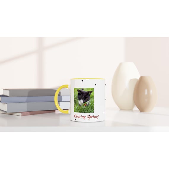 Felix the Cat Spring Mugs – 11oz Ceramic Coffee Mug with Colored Rim