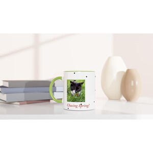 Felix the Cat Frühlingsbecher - 11 Unzen Keramikkaffeebecher mit farbigem Rand Ceramic Green