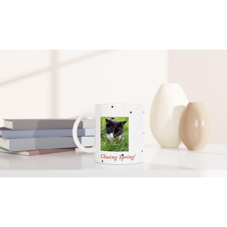 Felix the Cat Frühlingsbecher - 11 Unzen Keramikkaffeebecher mit farbigem Rand Ceramic White