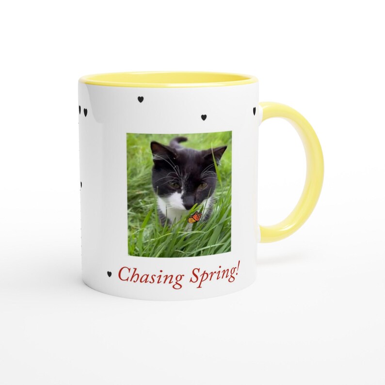 Felix the Cat Frühlingsbecher - 11 Unzen Keramikkaffeebecher mit farbigem Rand Bild 10
