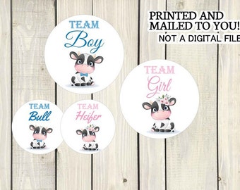 Cow & Bull Gender Gender Reveal Party Stickers Team Boy, Team Girl, Baby Shower Voting, Favor Tags, Labels, You Choose Size
