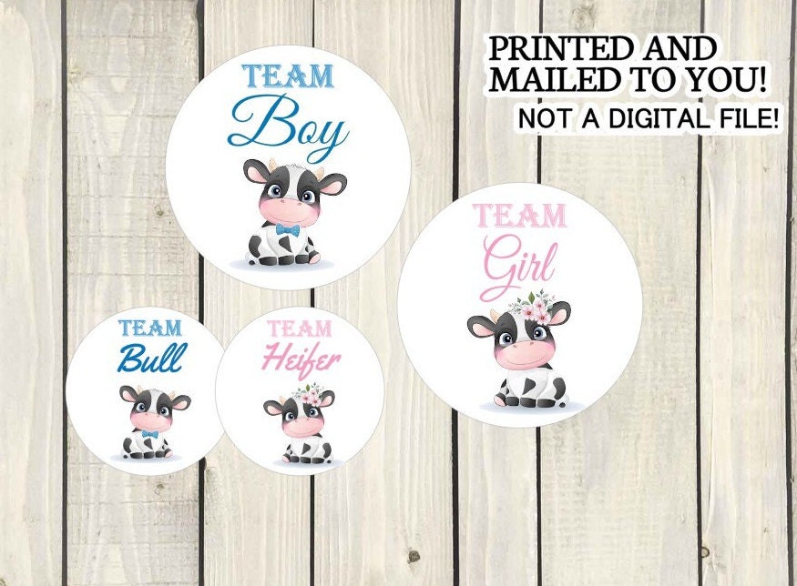 Cow & Bull Gender Gender Reveal Party Stickers Team Boy Team Etsy