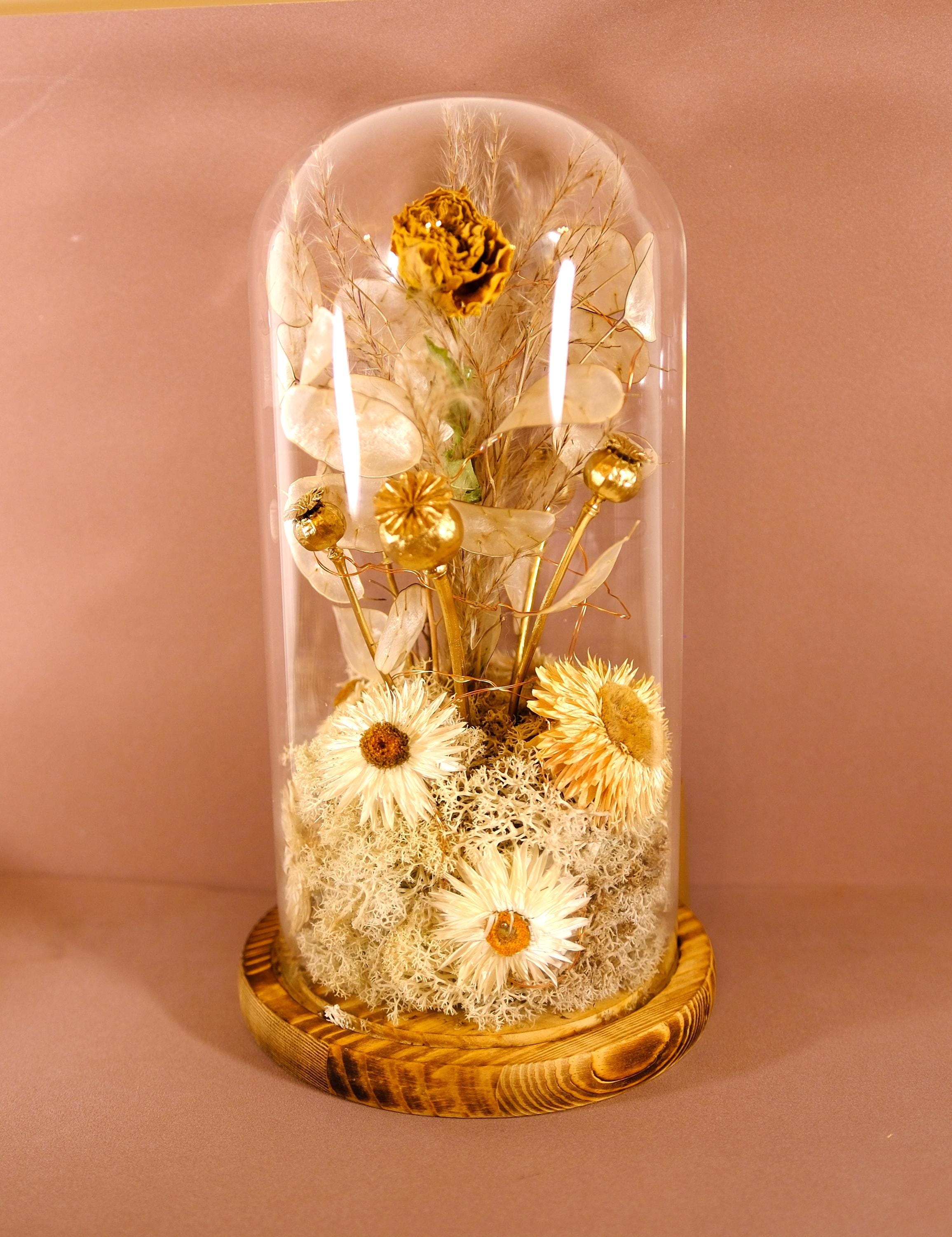 Preserved Flower Cloche / Dome With Fairy Lights