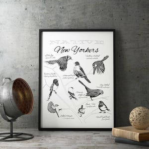 Native New York Birds Print / 14" x 18" / Ilustración / Arte mural / Póster grande / Neoyorquinos