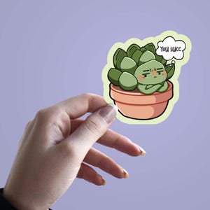 celery seeds for planting Utah 52-70 Celery Seeds For Planting (Apium graveolens) Seed Needs – Seed  Needs LLC