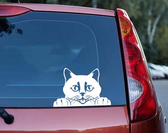 Gluren kat auto sticker, schattige kitty sticker voor autoruit, laptop sticker, grappige kattenliefhebber cadeau, waterdichte vinyl kat auto sticker, sticker huisdier