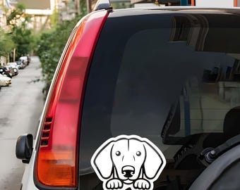 Bildekal med kikarhund, söt taxklistermärke för bilruta, laptopklistermärke, tumbler, vinylhundgåva, bildekal med husdjurssilhuett