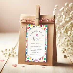 May include: A brown paper gift bag with a tag that reads "A Random Act of Kindness." The tag has a colorful polka dot border and a heart. The bag is held closed with a wooden clip and twine.