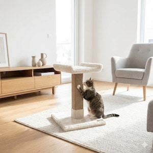 May include: A cat scratching post with a plush, cream-colored top and base. The central post is wrapped in natural sisal rope. A tabby cat is shown using the post in a living room setting.