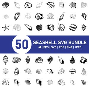 50 Seashell SVG Bundle, Seashell Clipart Designs, Sea Shell SVG PNG, Beach and Ocean Cut Files for Cricut & Silhouette, Seashell Vector,