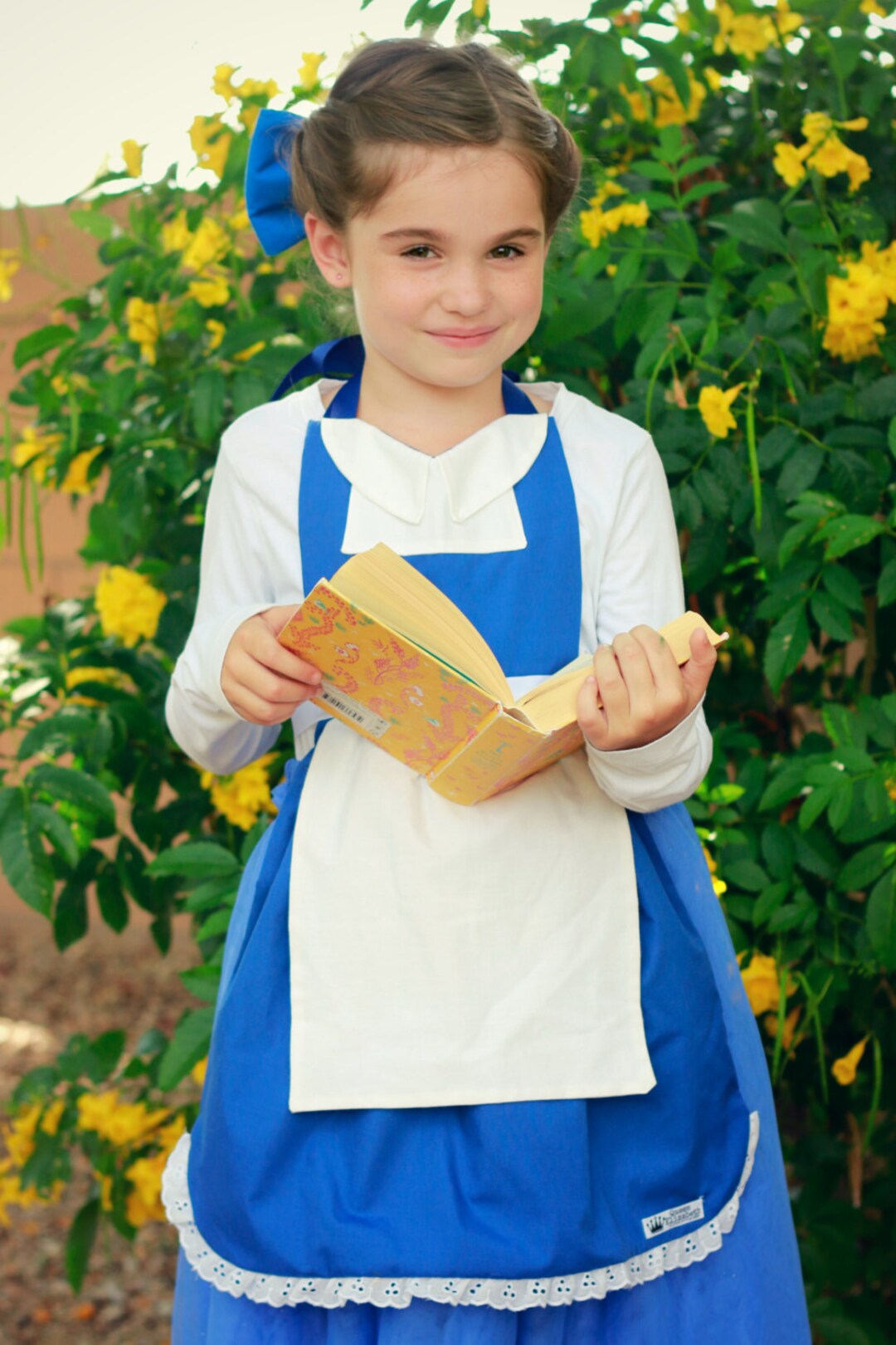 provincial belle costume