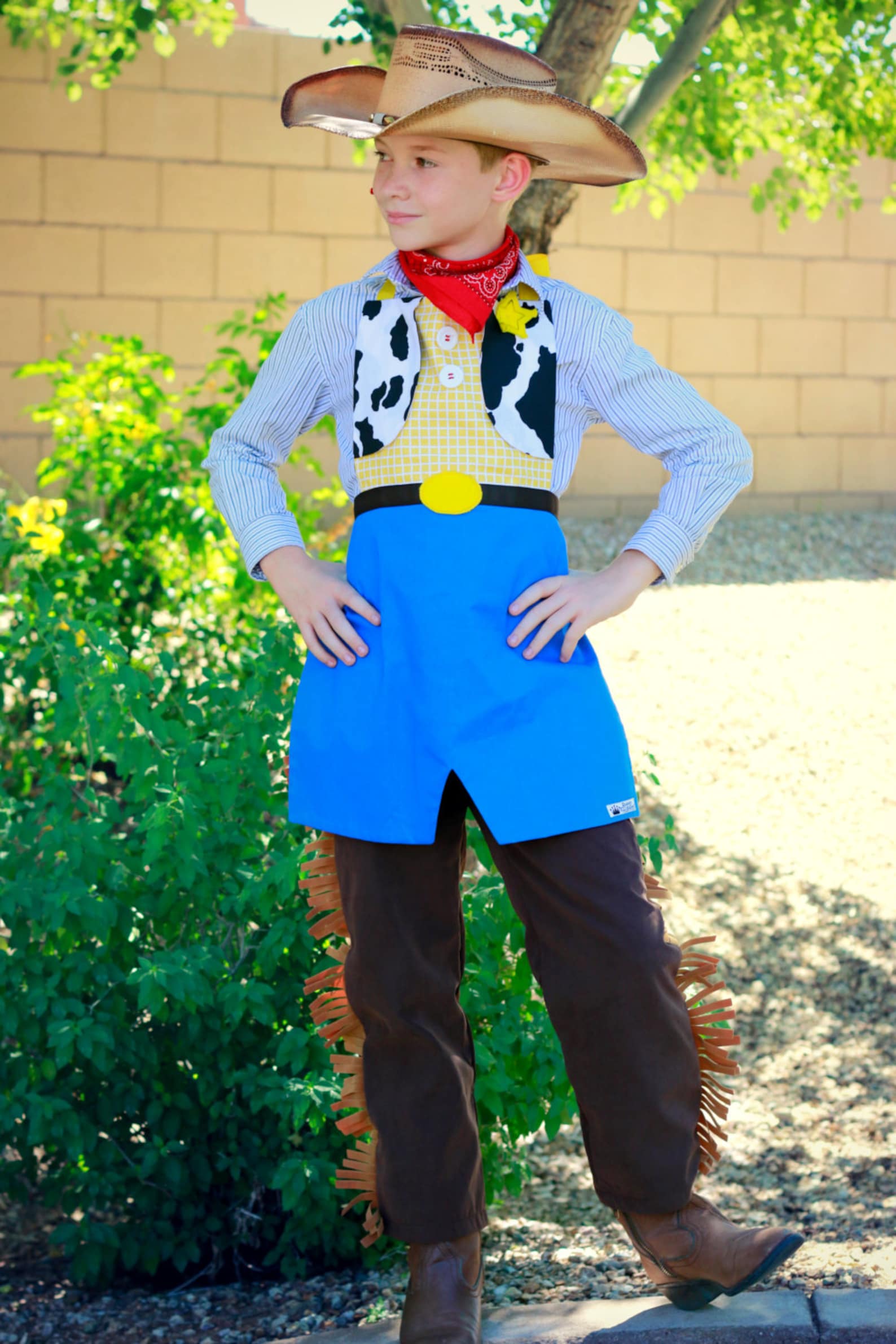Woody Costume