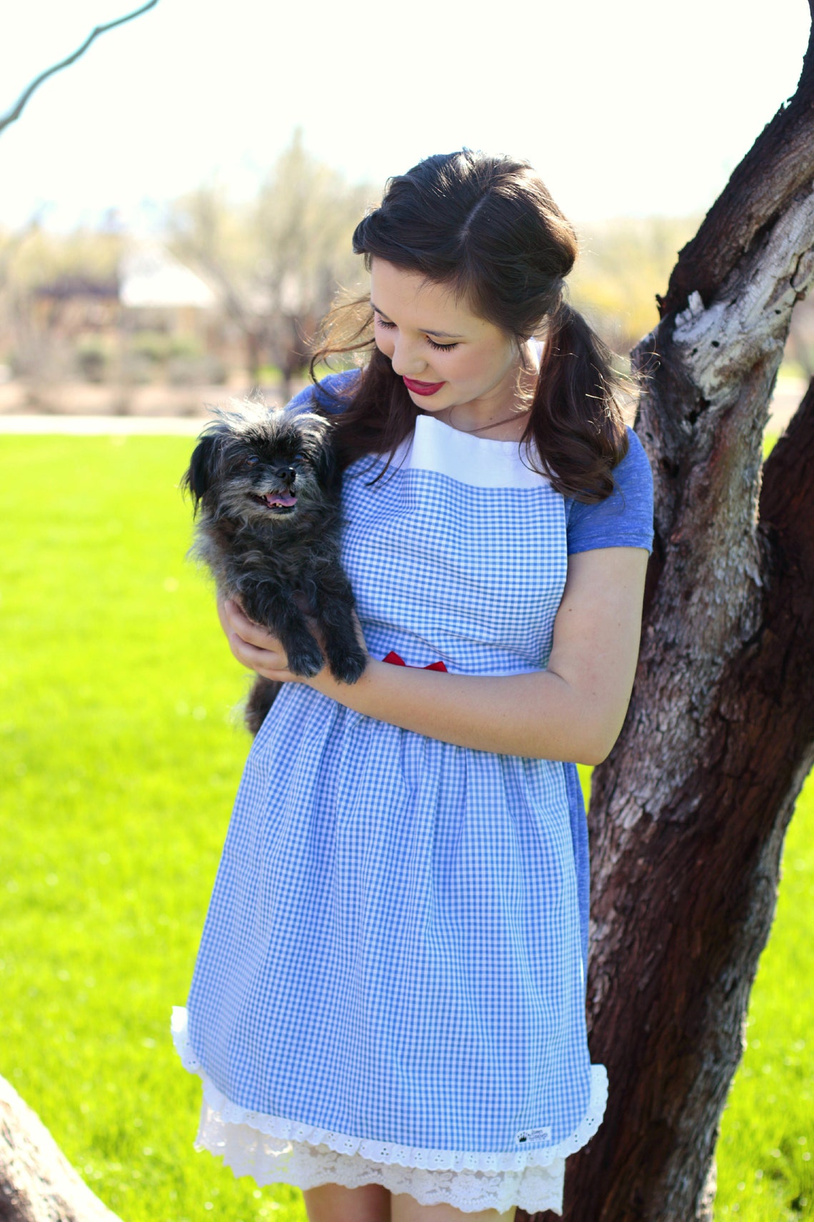 DOROTHY Hair Bow Set Of 2 Wizard Of OZ Disney Inspired Etsy