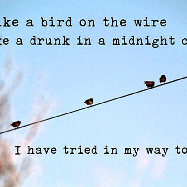 Like a Bird on the Wire - Leonard Cohen art print, photography, wall art, lyrics, birds on the wire, photography, music, typography