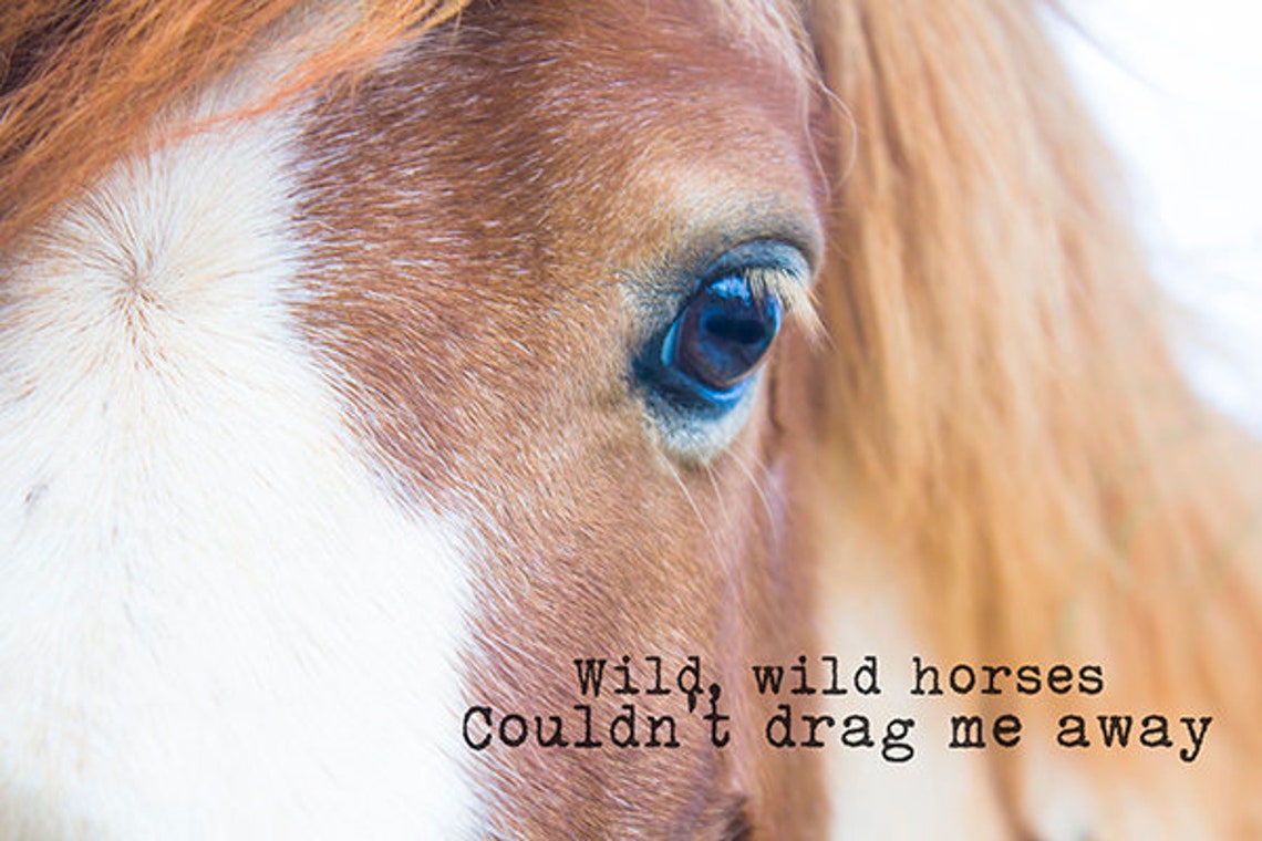 Wild Horses Rolling Stones Mick Jagger Art Print Etsy