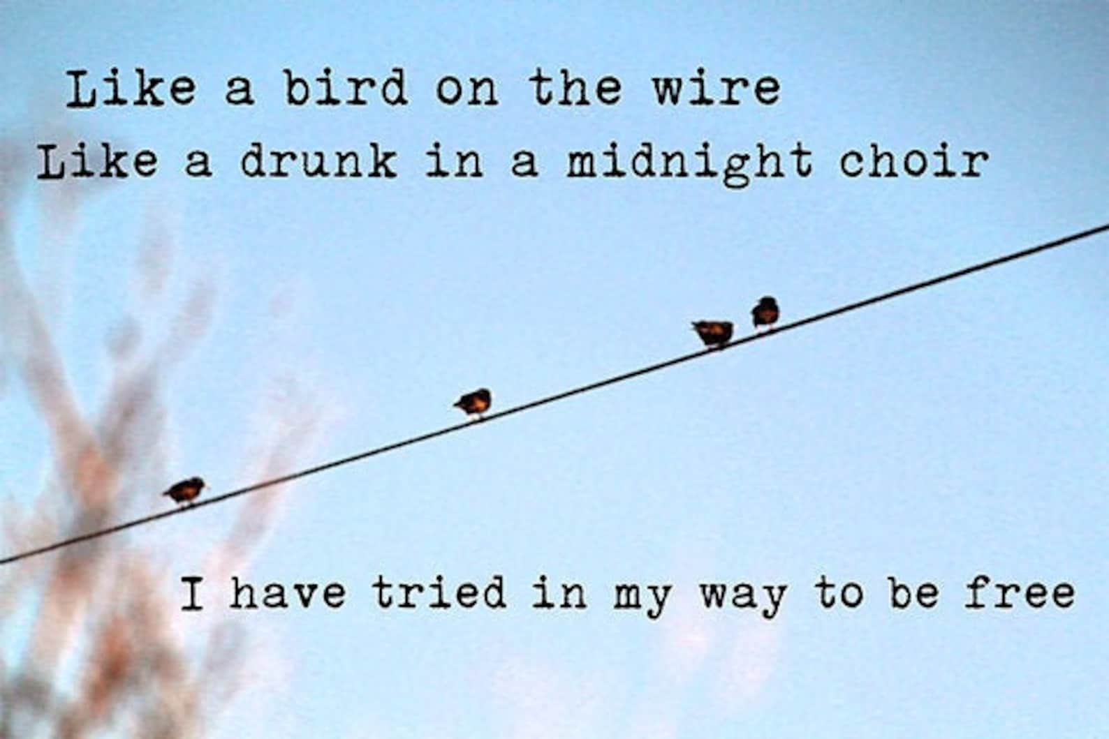 bird on a wire cohen