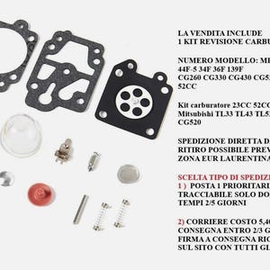 Può includere: Un assortimento di componenti per carburatore, tra cui guarnizioni, un filtro carburante trasparente e vari piccoli componenti metallici. Testo in italiano.