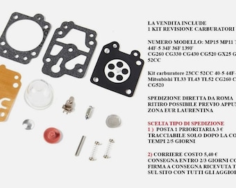 Peut inclure: Ensemble de pièces de carburateur, comprenant des joints, un filtre à carburant transparent et divers petits composants métalliques. Texte en italien.