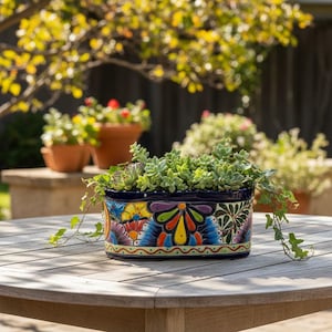 Maceta Talavera ovalada con borde azul / Arte cerámico mexicano