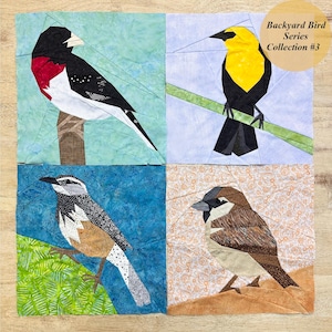 Collezione Backyard Birds Series #3--Fronzolo, Merlo testa gialla, Troglodyte dei cactus, Passero domestico FPP--Set di 4 modelli--Modello di patchwork