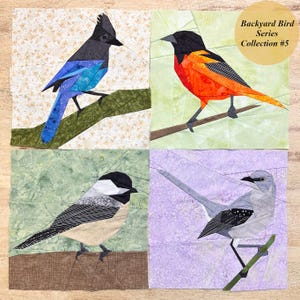 Backyard Birds Series Collection #5--Steller&#39;s Jay, Oriole, Chickadee, Mockingbird FPP--4 Pattern Set--Paper Piecing Patterns