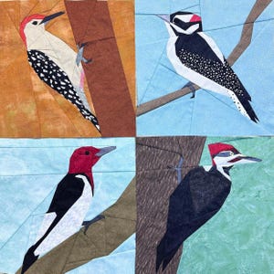 May include: A patchwork quilt featuring four different bird designs. Each square showcases a unique woodpecker, with variations in color and pattern. The birds are perched on branches or against a tree trunk, set against a background of various colors.