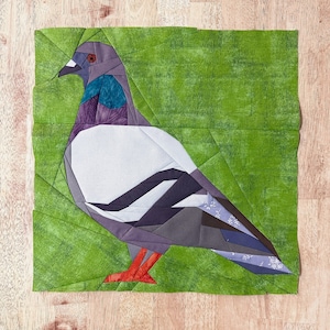 Duva FPP--Stadsfågel--Klippduva--Papperslappningsmönster för quiltblock