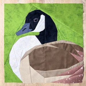 Könnte beinhalten: Ein Stoff-Quiltblock mit einem geometrischen Design einer Kanadagans. Die Gans hat einen schwarzen Kopf, weiße Wangen und einen braunen Körper. Der Hintergrund ist ein strukturiertes grünes Gewebe.