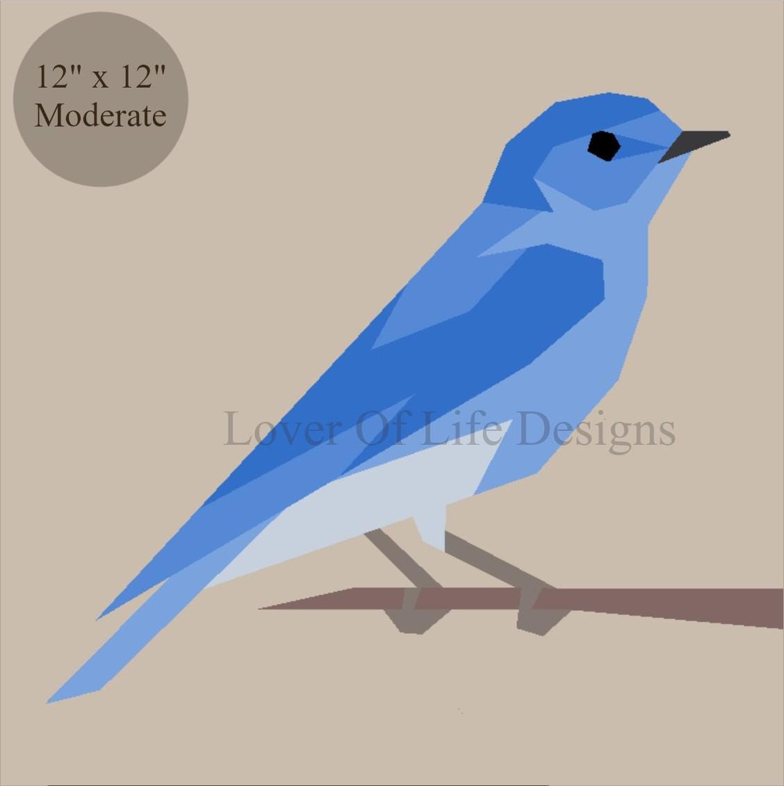 Mountain Bluebird With Eastern Bluebird Variation Fpp--backyard