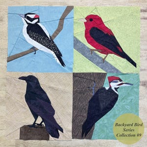 May include: A patchwork quilt featuring four bird designs: a black and white woodpecker, a red and black bird, a black crow, and a black and white woodpecker. The birds are set against blue, green, and tan backgrounds. The text "Backyard Bird Series Collection #9" is in a circle.