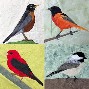 Könnte beinhalten: Eine Collage aus vier verschiedenen Vogelillustrationen. Das Bild oben links zeigt einen Rotkehlchen mit einem grauen und braunen Körper. Das Bild oben rechts zeigt einen Baltimore-Oriole mit einem schwarzen Kopf und einem orangefarbenen Körper. Das Bild unten links zeigt einen Kardinal mit einem schwarzen Kopf und Flügeln. Das Bild unten rechts zeigt eine Kohlmeise mit einem grauen und weißen Körper.