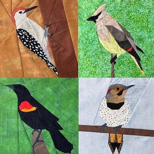 May include: A collage of four different bird illustrations. The top left image shows a red-headed woodpecker perched on a branch. The top right image shows a cedar waxwing perched on a branch. The bottom left image shows a red-winged blackbird perched on a branch. The bottom right image shows a yellow-bellied sapsucker perched on a branch.