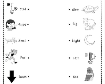 Antonym Worksheet Bundle: Grades 1-3 ELA Vocabulary Practice (PDF)