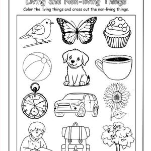 Puede incluir: Hoja de trabajo en blanco y negro titulada "Living and Non-living Things". La hoja de trabajo presenta dibujos lineales de un pájaro, una mariposa, una magdalena, una pelota, un cachorro, una taza de café, un reloj de bolsillo, un coche, un girasol, un niño, una mochila y un árbol.