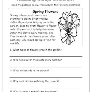 Può includere: Un foglio di lavoro di comprensione della lettura in bianco e nero intitolato "Reading Comprehension". Il foglio di lavoro include un brano di lettura sui fiori primaverili, domande e un'illustrazione floreale. Il testo include le parole "Spring Flowers".