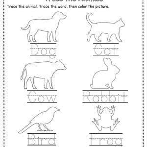 May include: A black and white worksheet titled "Trace the Animals." It features dotted outlines of a dog, cat, cow, rabbit, bird, and frog, with their names below for tracing. The instructions are to trace the animal, trace the word, and colour the picture.