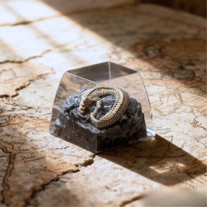 Puede incluir: Una pequeña figura esquelética blanquecina, posiblemente un reptil o alienígena, encerrada en una vitrina transparente en ángulo. La figura descansa sobre una roca gris oscura texturizada. El fondo es un mapa antiguo.